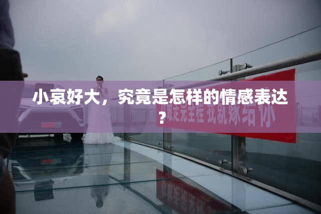 小哀好大，究竟是怎样的情感表达？