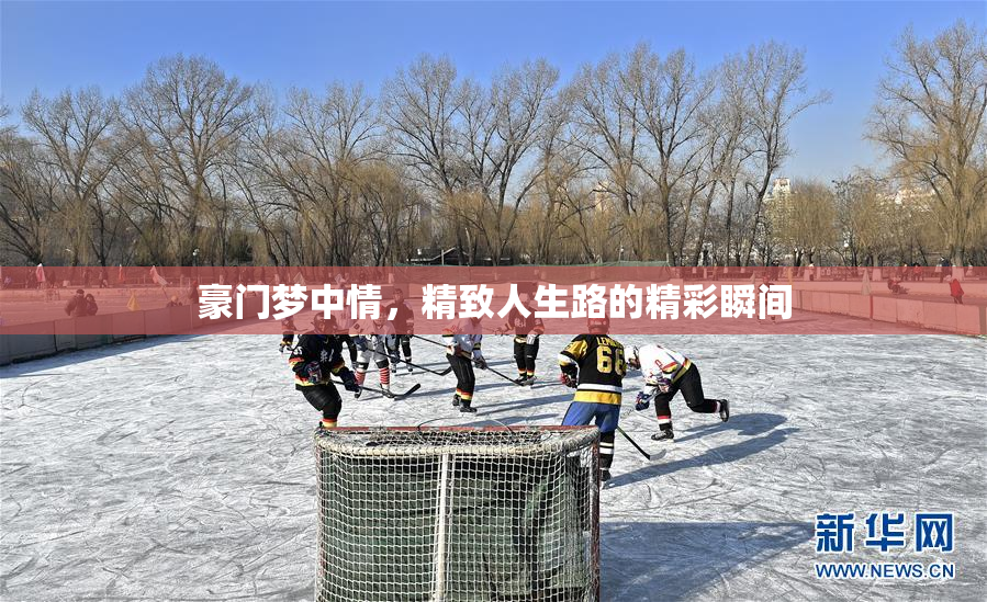豪门梦中情，精致人生路的精彩瞬间