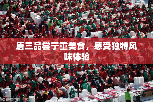 唐三品尝宁重美食，感受独特风味体验