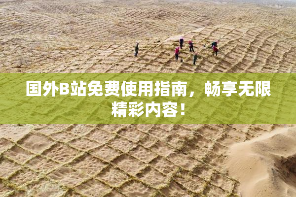 国外B站免费使用指南，畅享无限精彩内容！
