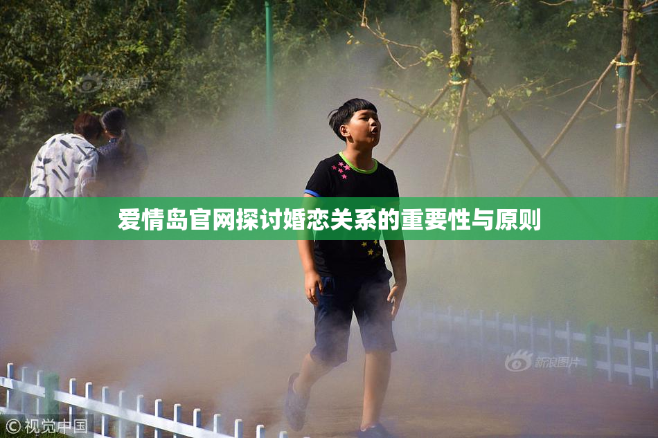 爱情岛官网探讨婚恋关系的重要性与原则