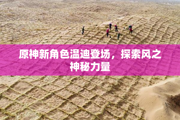 原神新角色温迪登场，探索风之神秘力量