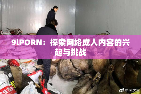 9lPORN：探索网络成人内容的兴起与挑战
