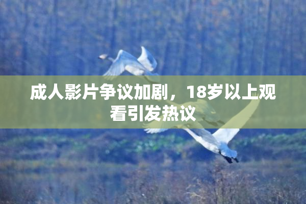 成人影片争议加剧，18岁以上观看引发热议