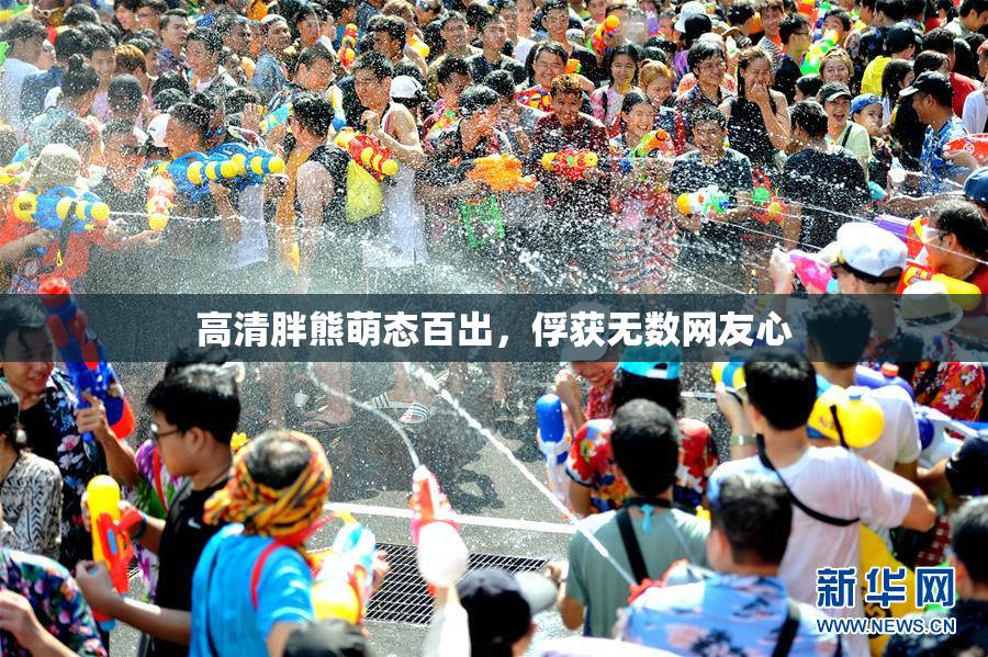 高清胖熊萌态百出，俘获无数网友心