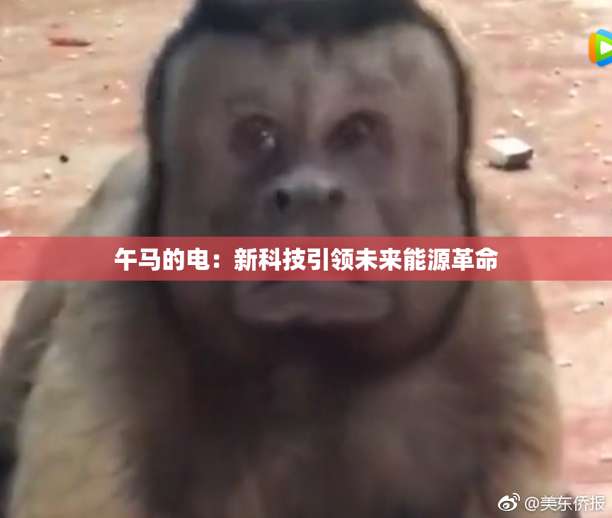 午马的电：新科技引领未来能源革命