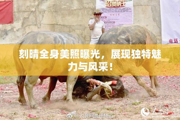 刻晴全身美照曝光，展现独特魅力与风采！