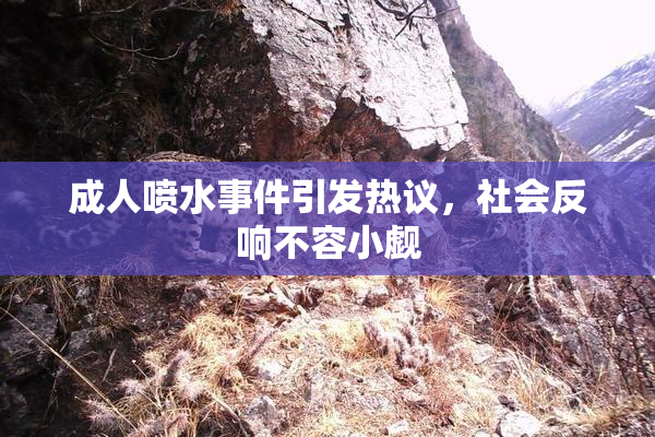 成人喷水事件引发热议，社会反响不容小觑