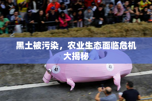 黑土被污染，农业生态面临危机大揭秘