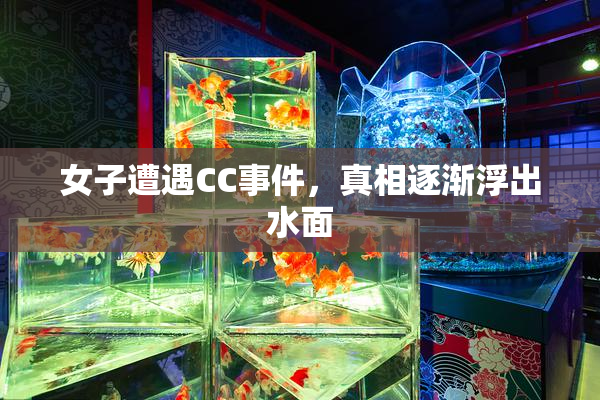 女子遭遇CC事件，真相逐渐浮出水面