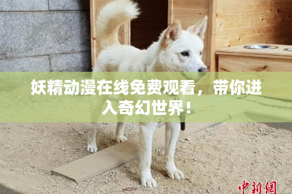 妖精动漫在线免费观看，带你进入奇幻世界！