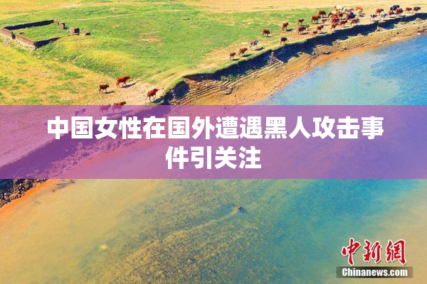 中国女性在国外遭遇黑人攻击事件引关注
