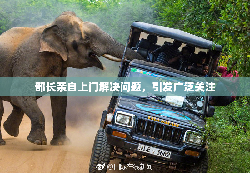 部长亲自上门解决问题，引发广泛关注