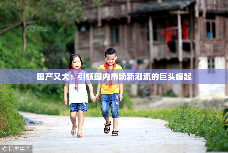 国产又大：引领国内市场新潮流的巨头崛起