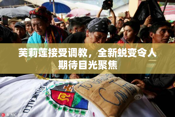 芙莉莲接受调教，全新蜕变令人期待目光聚焦