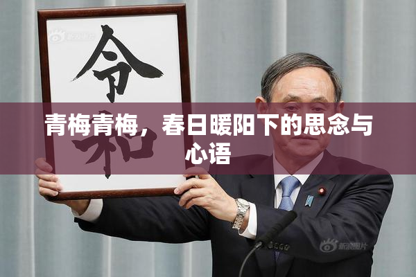青梅青梅，春日暖阳下的思念与心语
