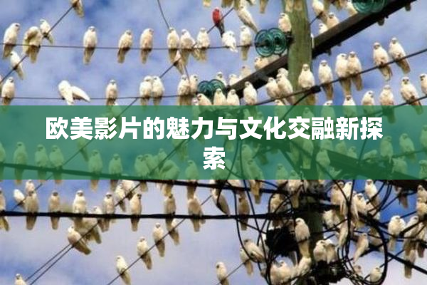 欧美影片的魅力与文化交融新探索