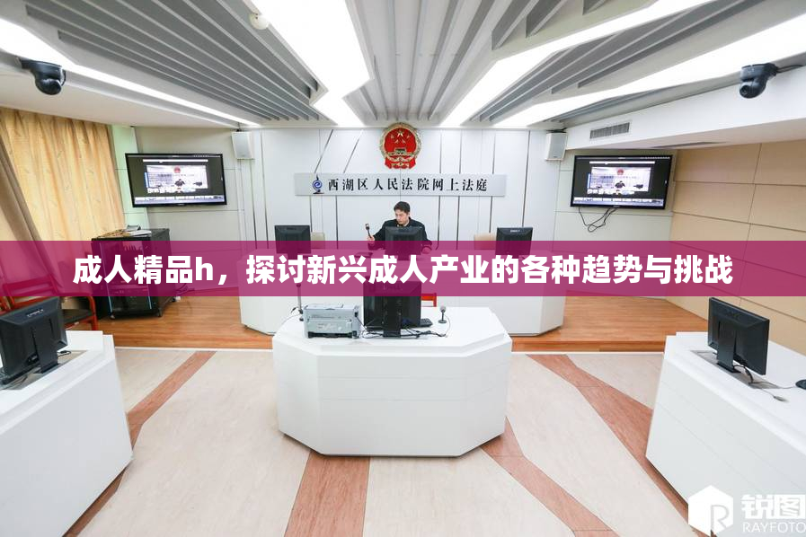 成人精品h，探讨新兴成人产业的各种趋势与挑战