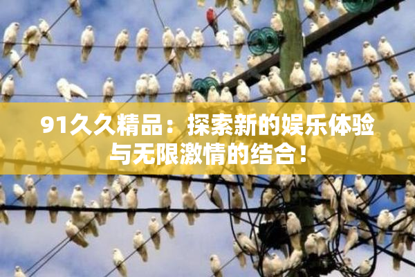 91久久精品：探索新的娱乐体验与无限激情的结合！