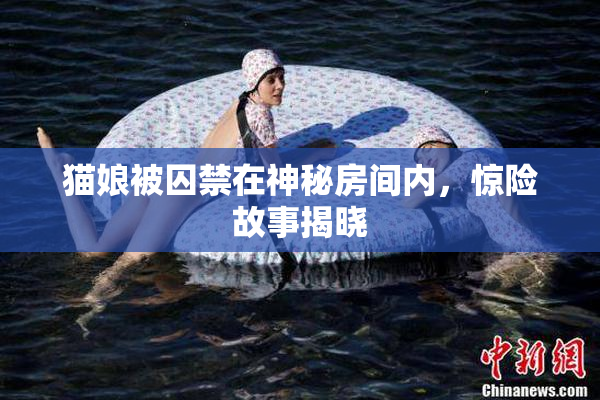 猫娘被囚禁在神秘房间内，惊险故事揭晓