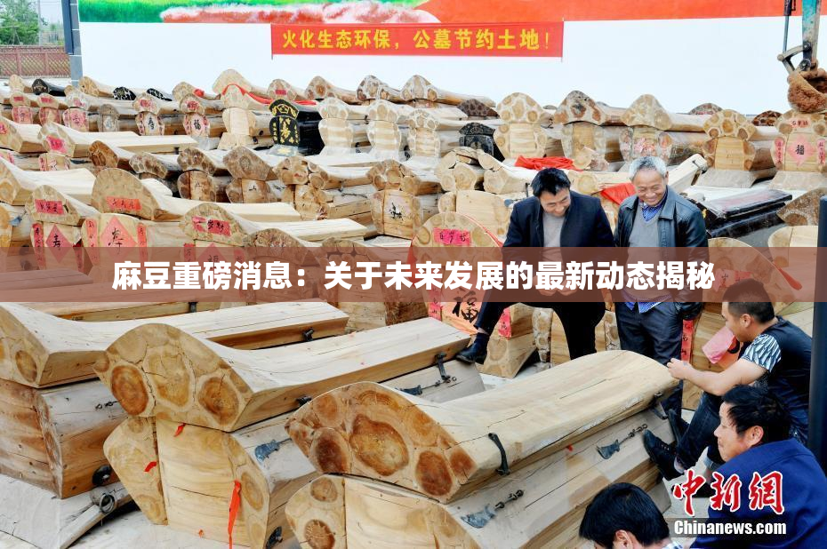 麻豆重磅消息：关于未来发展的最新动态揭秘