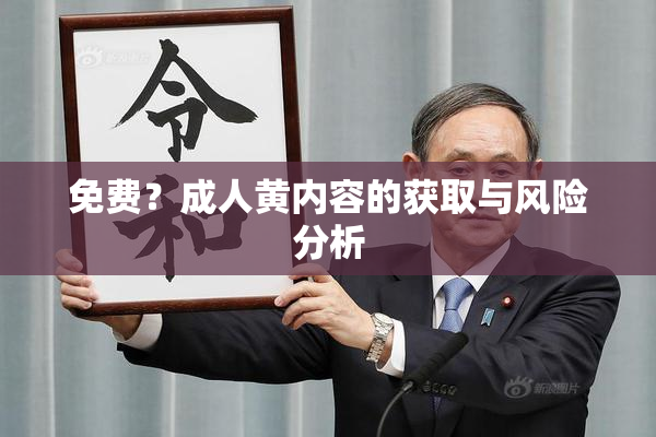 免费？成人黄内容的获取与风险分析