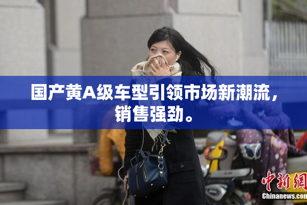 国产黄A级车型引领市场新潮流，销售强劲。