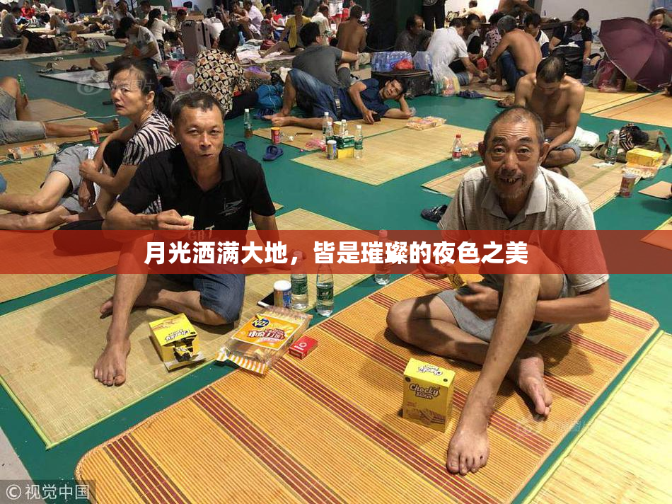 月光洒满大地，皆是璀璨的夜色之美