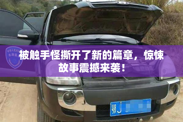 被触手怪撕开了新的篇章，惊悚故事震撼来袭！