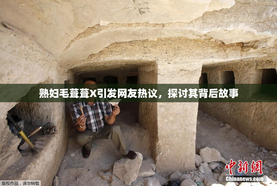 熟妇毛葺葺X引发网友热议，探讨其背后故事