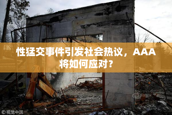 性猛交事件引发社会热议，AAA将如何应对？