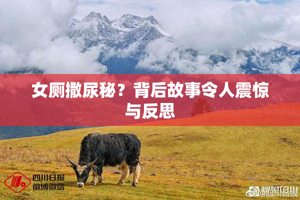 女厕撒尿秘？背后故事令人震惊与反思