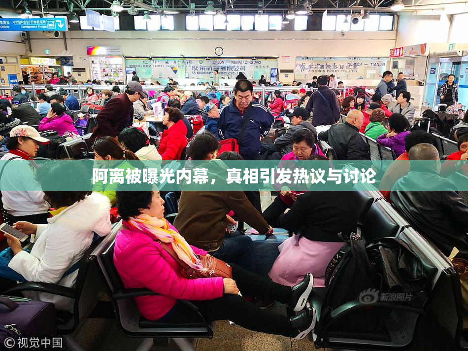阿离被曝光内幕，真相引发热议与讨论