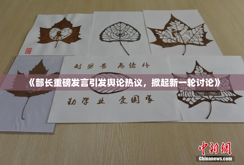 《部长重磅发言引发舆论热议，掀起新一轮讨论》