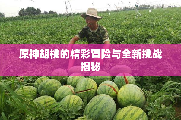 原神胡桃的精彩冒险与全新挑战揭秘
