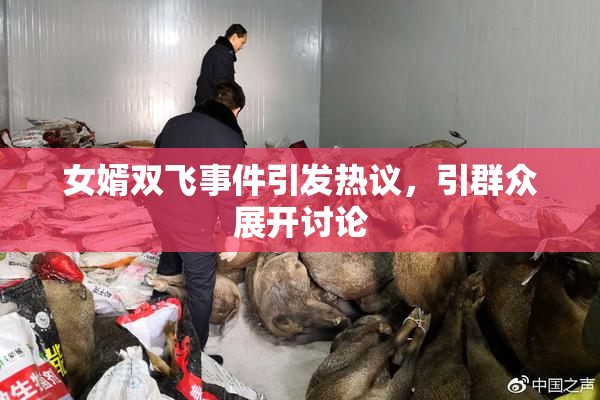女婿双飞事件引发热议，引群众展开讨论