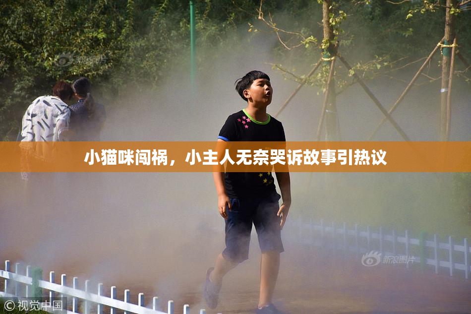 小猫咪闯祸，小主人无奈哭诉故事引热议