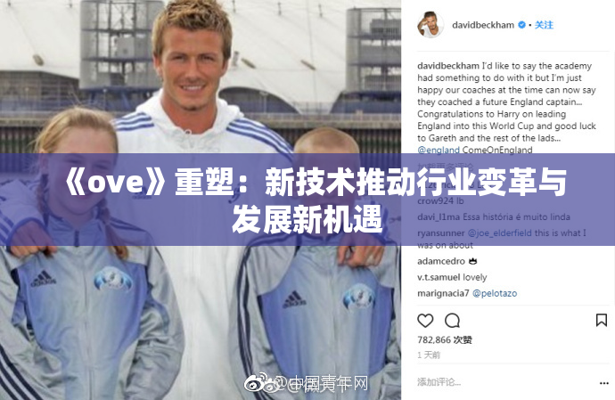 《ove》重塑：新技术推动行业变革与发展新机遇