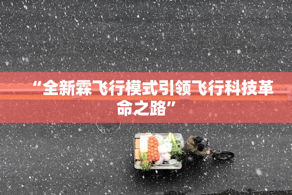 “全新霖飞行模式引领飞行科技革命之路”