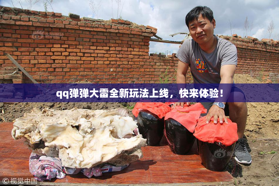 qq弹弹大雷全新玩法上线，快来体验！