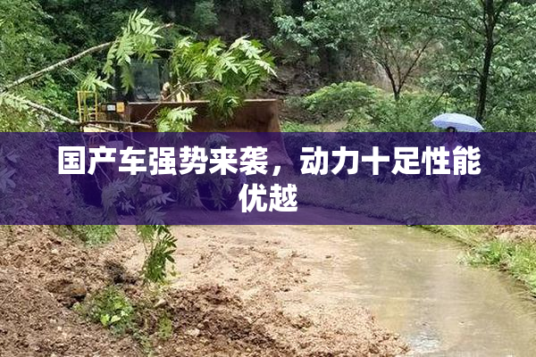 国产车强势来袭，动力十足性能优越