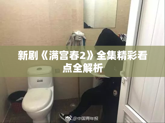 新剧《满宫春2》全集精彩看点全解析