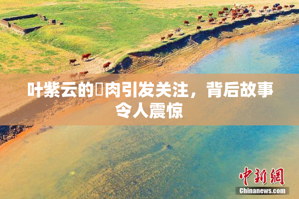 叶紫云的婬肉引发关注，背后故事令人震惊