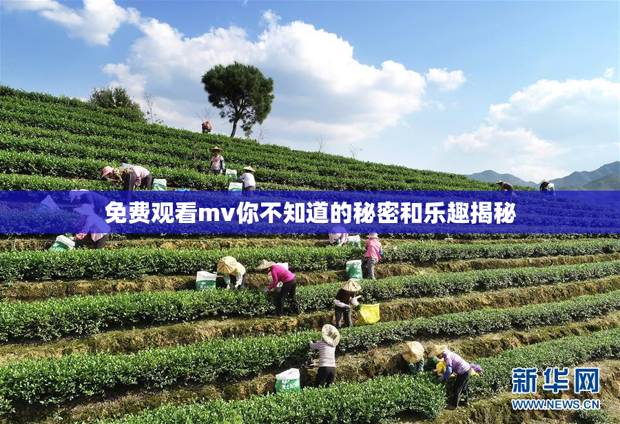 免费观看mv你不知道的秘密和乐趣揭秘
