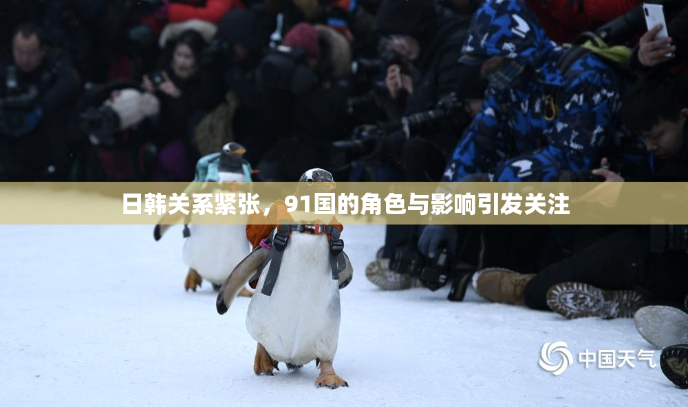 日韩关系紧张，91国的角色与影响引发关注