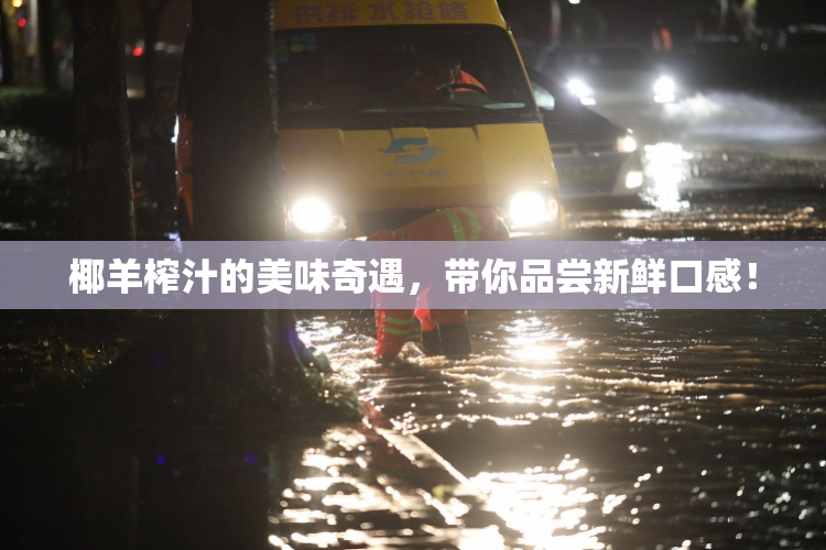 椰羊榨汁的美味奇遇，带你品尝新鲜口感！