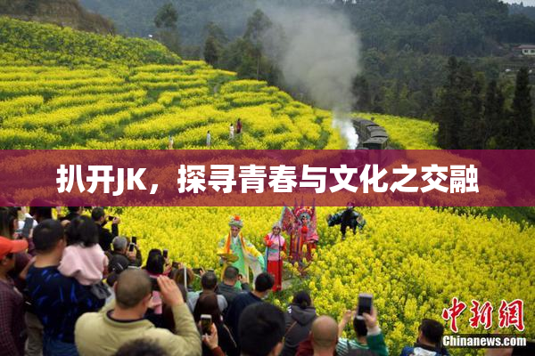 扒开JK，探寻青春与文化之交融