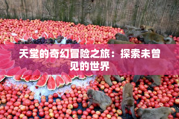 天堂的奇幻冒险之旅：探索未曾见的世界