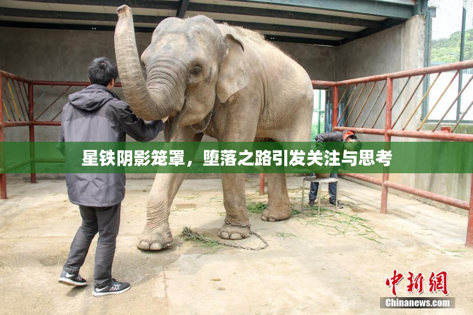 星铁阴影笼罩，堕落之路引发关注与思考