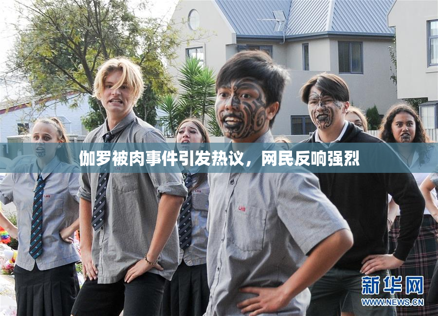 伽罗被肉事件引发热议，网民反响强烈